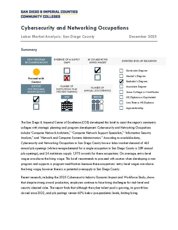 Computer and Information Analysts