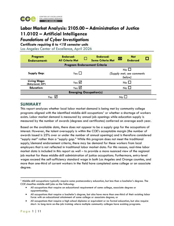 Cybersecurity and Artificial Intelligence Analysts