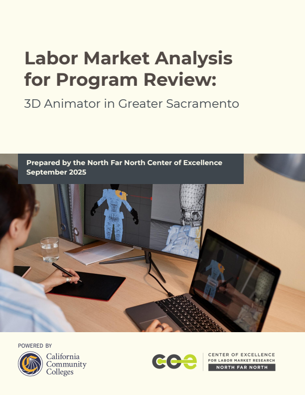 3D Technical Directors