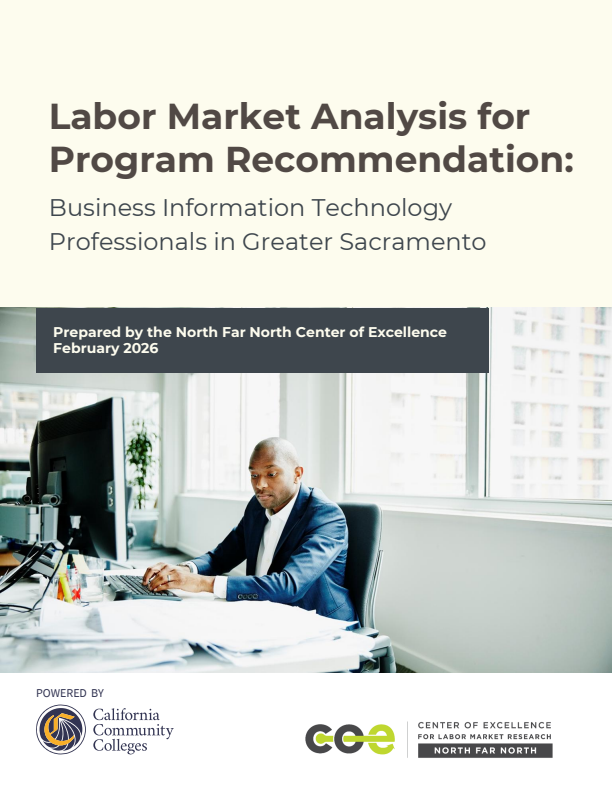 Business Information Technology Professionals