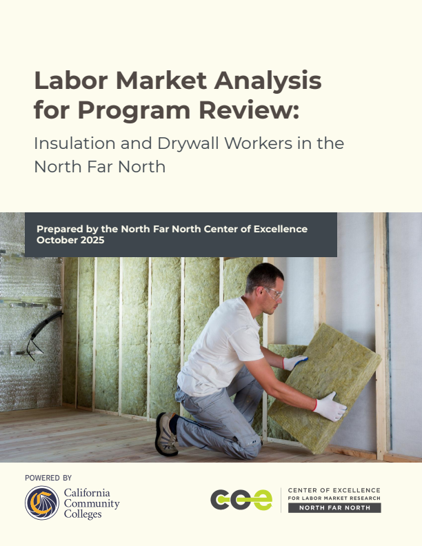 Insulation and Drywall Workers